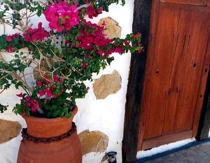 Casa Rural Alessia With Jacuzzi ,Garden & Swimming Pool Santa Cruz de Tenerife Exteriör bild